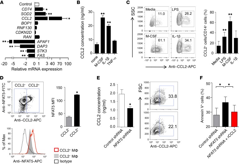 Transcription factor NFAT5 promotes macrophage survival in rheumatoid ...