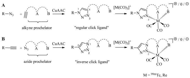 Scheme 2