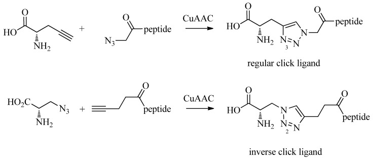 Scheme 3