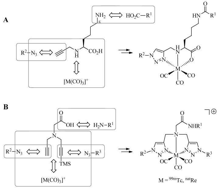 Scheme 5