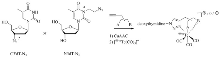 Scheme 7