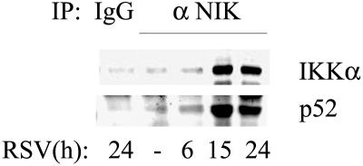 FIG. 5.