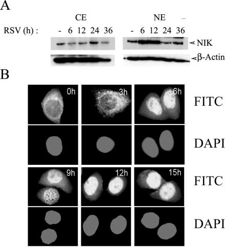 FIG. 6.