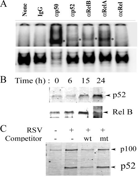 FIG. 4.