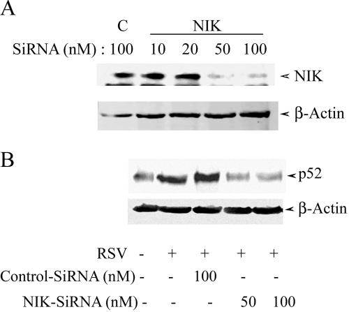 FIG. 8.