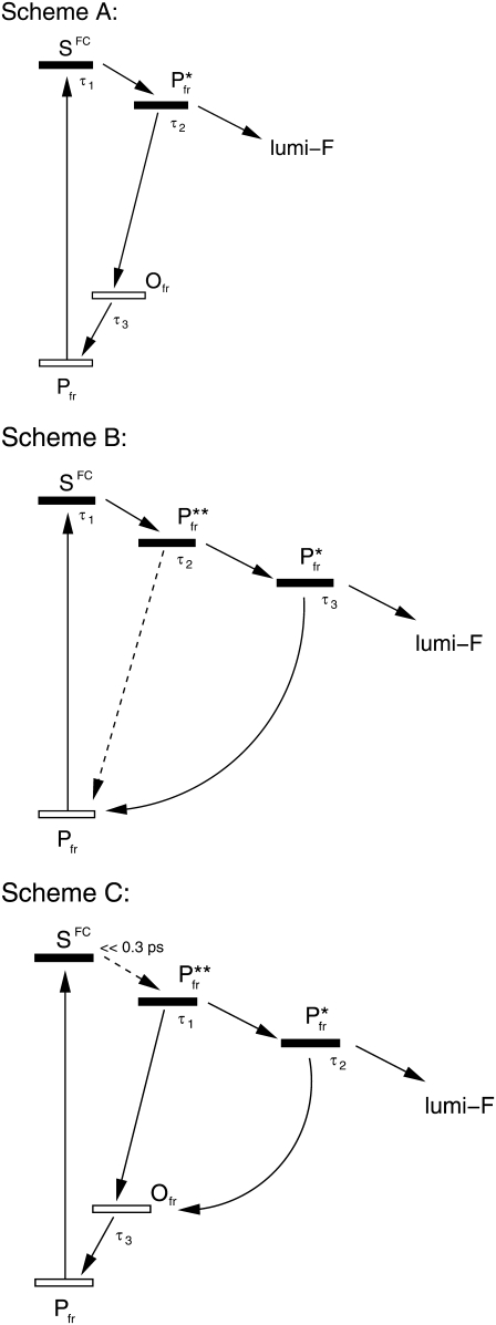 FIGURE 8