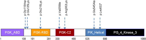 Figure 1