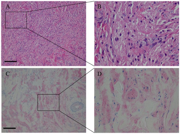 Figure 7.