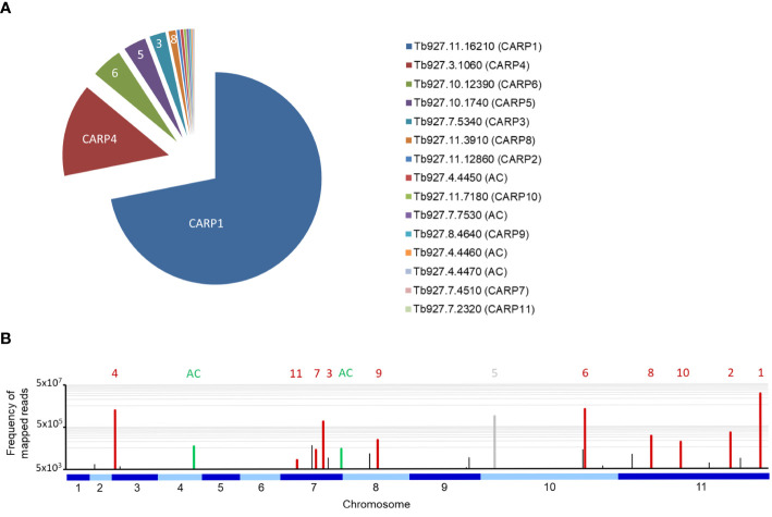 Figure 1