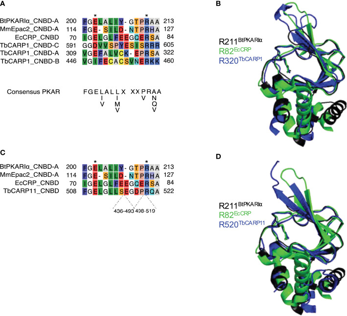 Figure 5