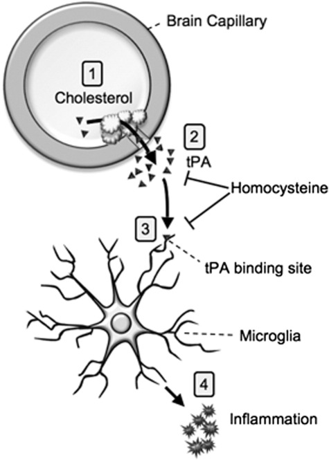 Fig. 3