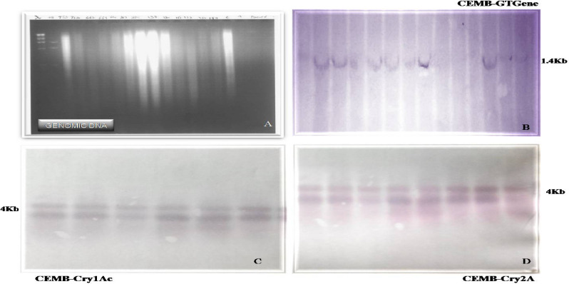 Figure 16