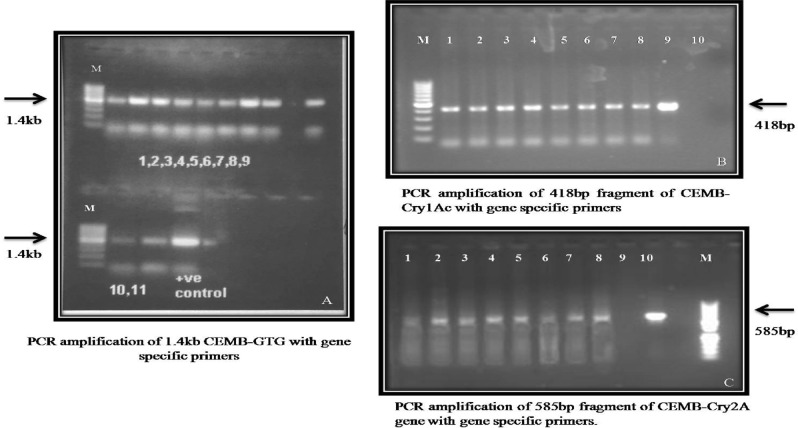 Figure 15