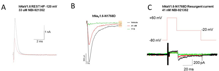 Figure 3—figure supplement 1.