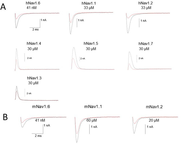 Figure 1—figure supplement 1.