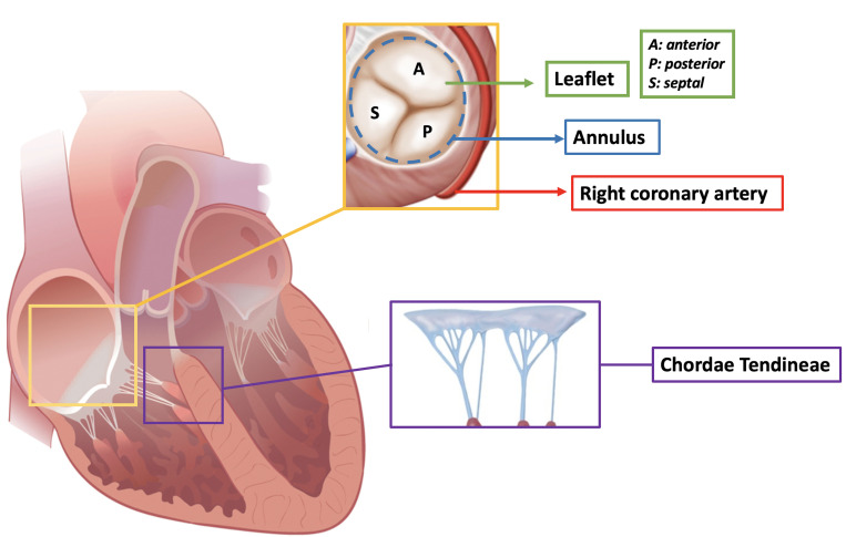 Fig. 1.