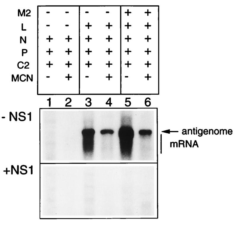 FIG. 4