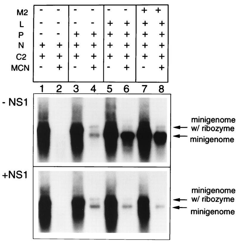 FIG. 6