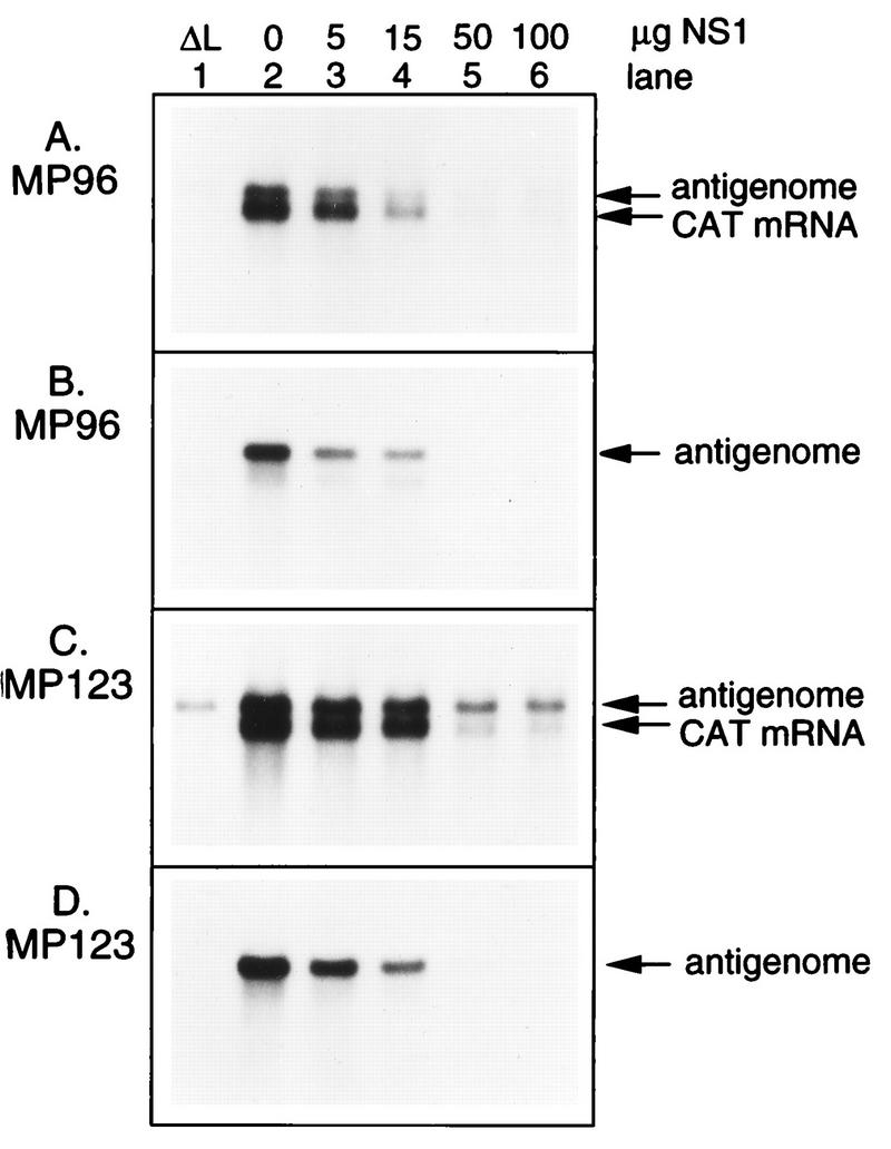 FIG. 8