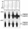 FIG. 6