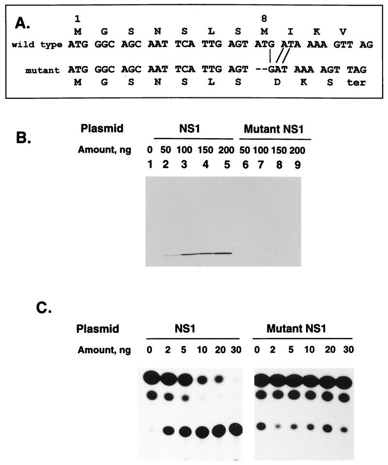 FIG. 5