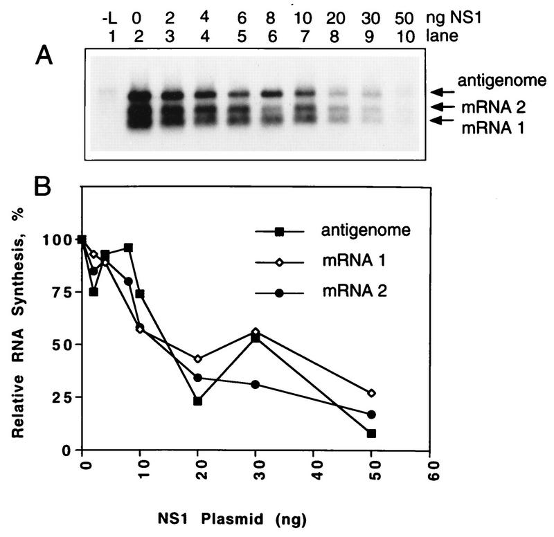 FIG. 7