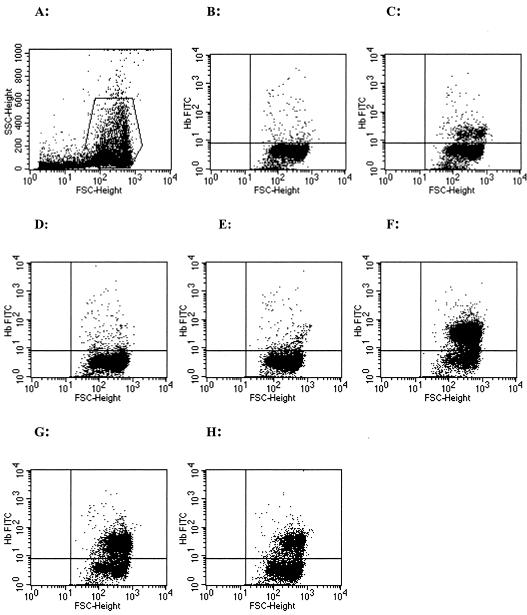 FIG. 2.