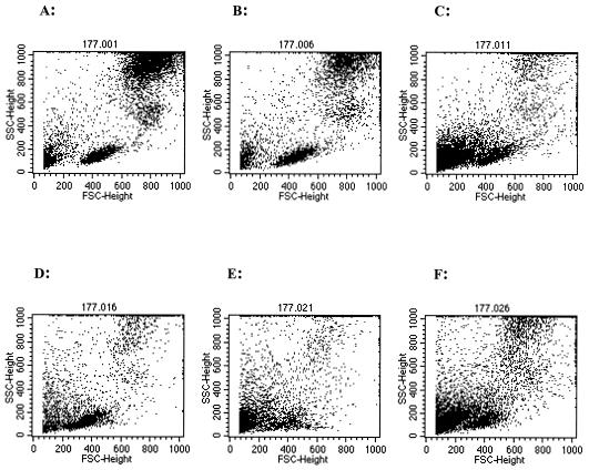 FIG. 3.