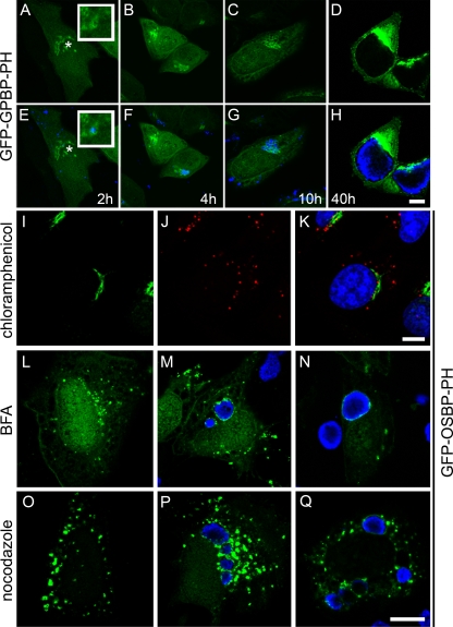 FIG. 6.