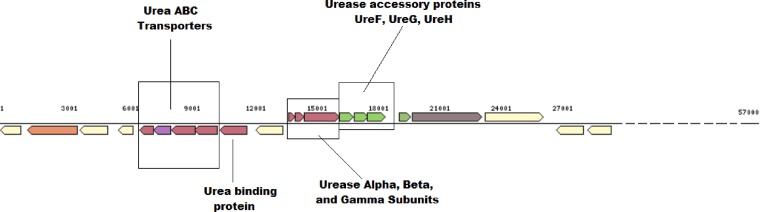 FIG 4