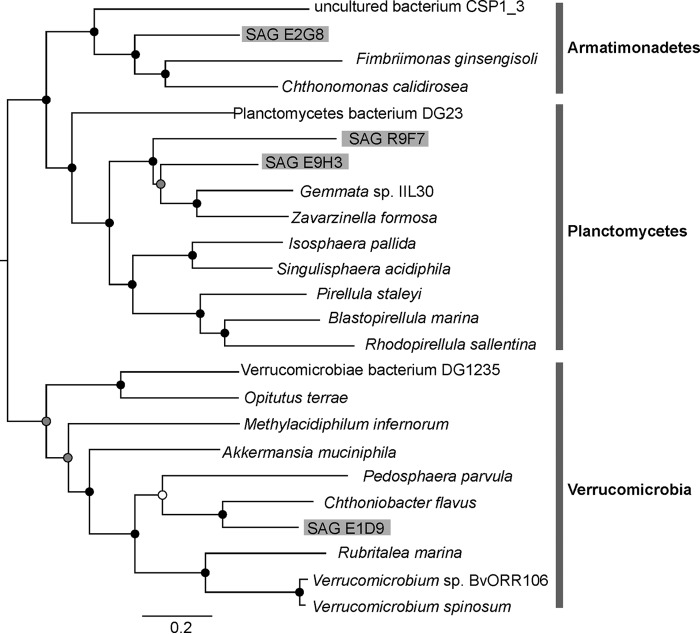 FIG 2