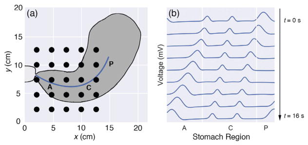 Fig. 3