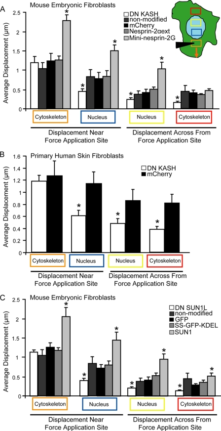 FIGURE 3.