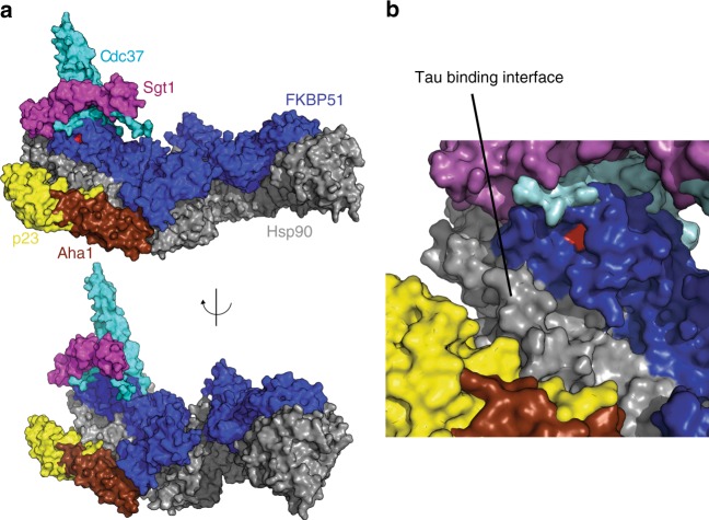 Fig. 6