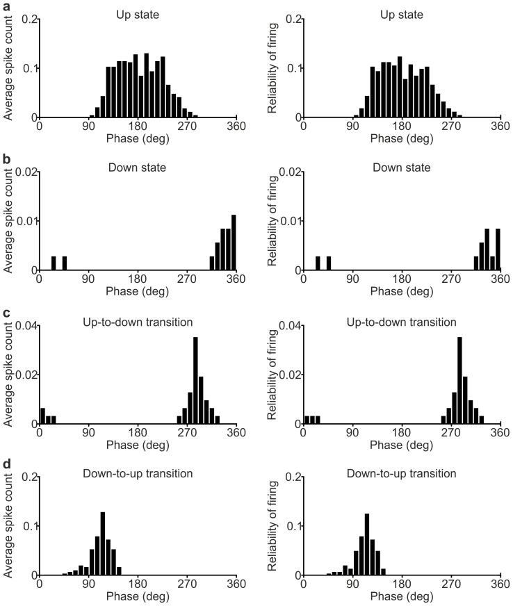 Figure 2—figure supplement 2.