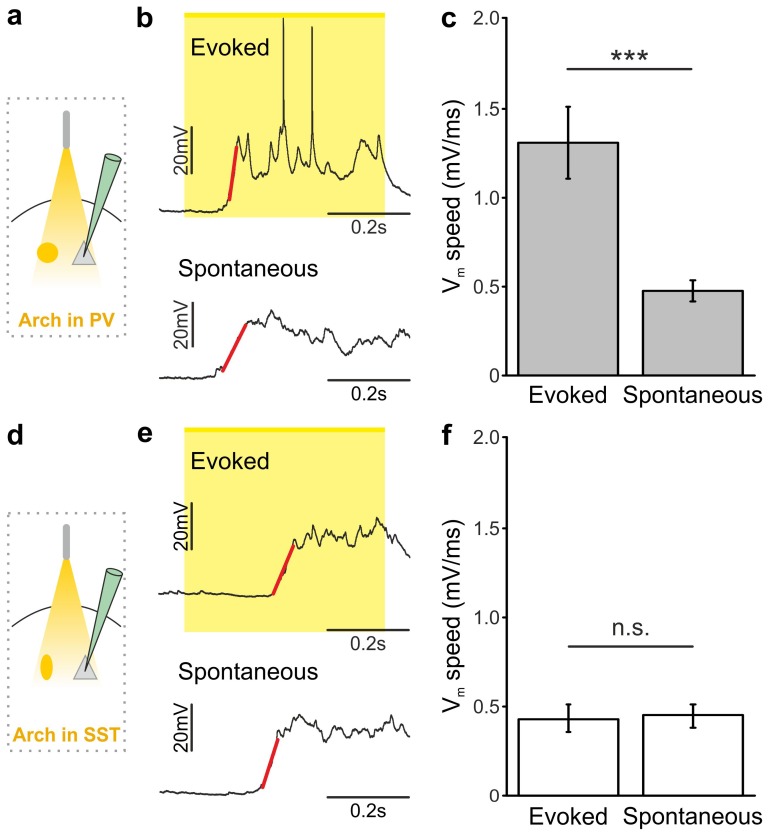 Figure 5—figure supplement 1.