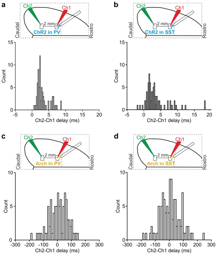 Figure 6—figure supplement 3.