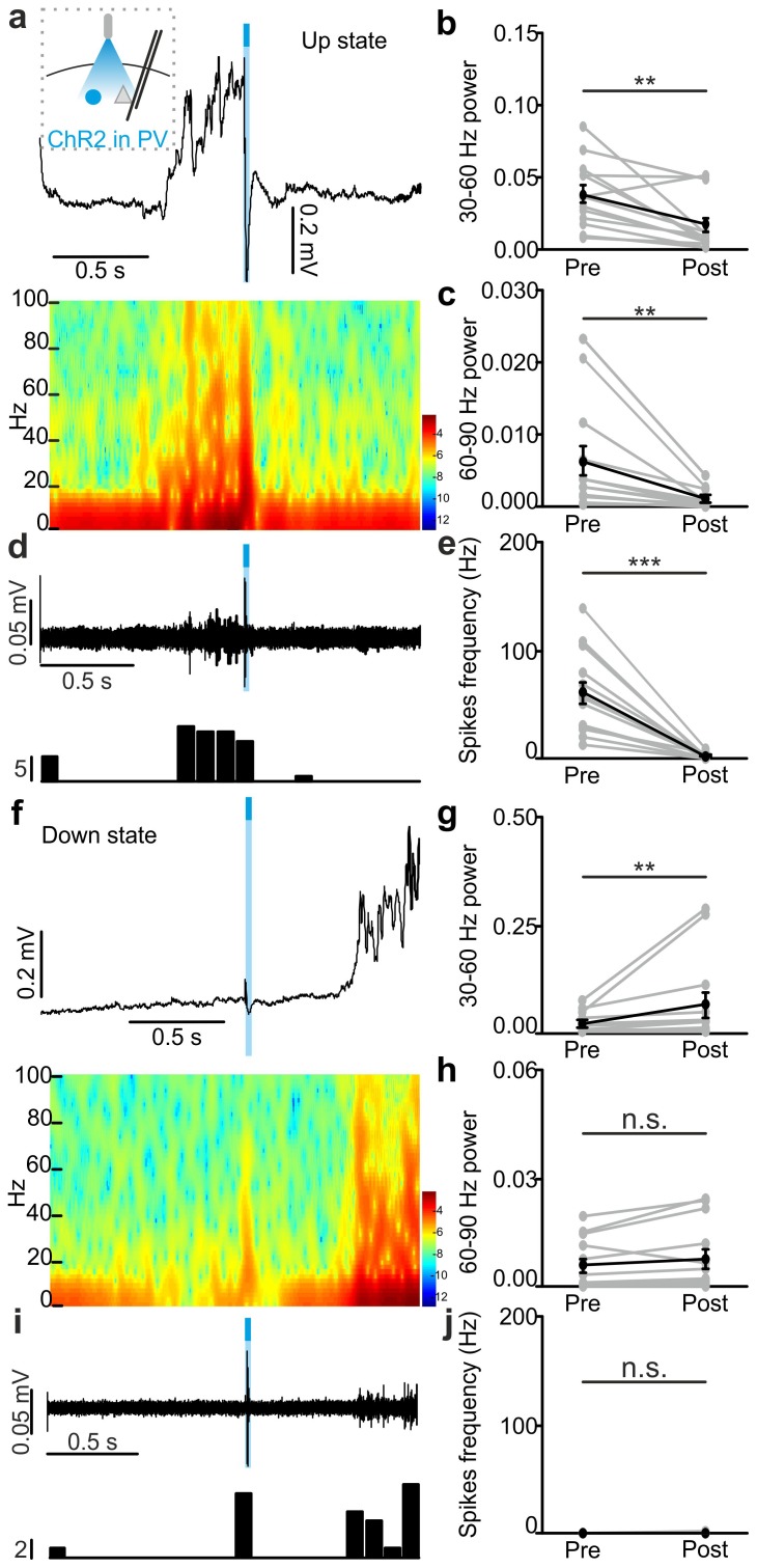 Figure 3—figure supplement 4.