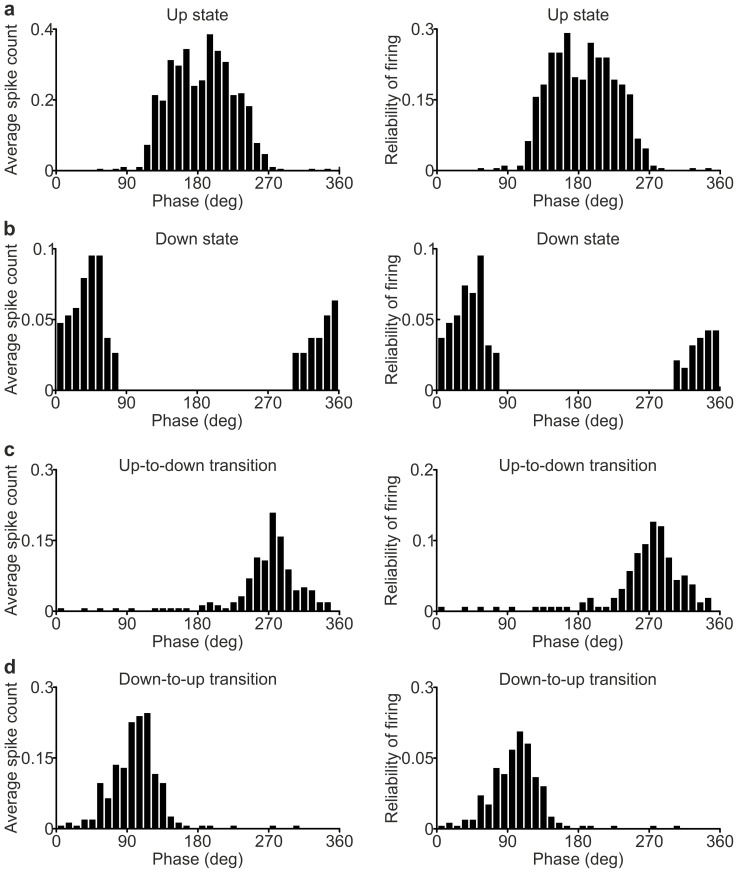 Figure 2—figure supplement 1.