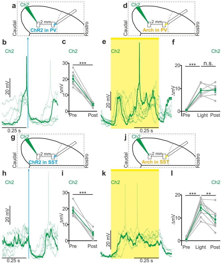 Figure 6—figure supplement 4.