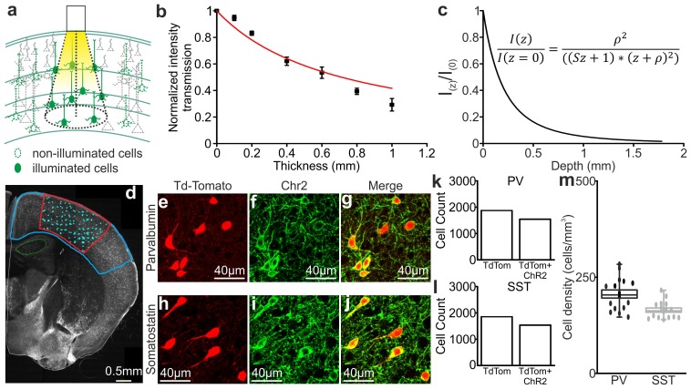 Figure 6—figure supplement 6.