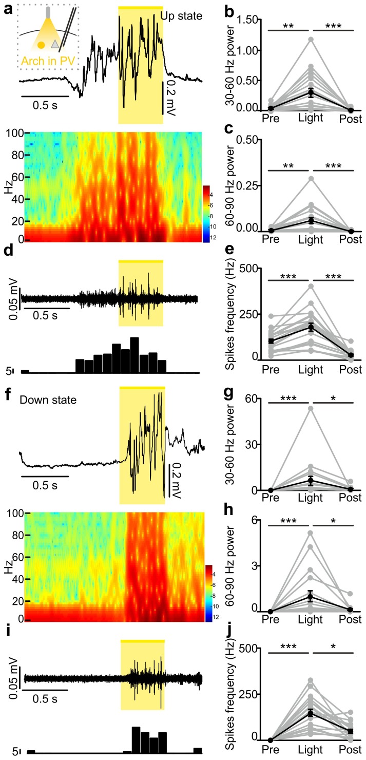 Figure 4—figure supplement 3.