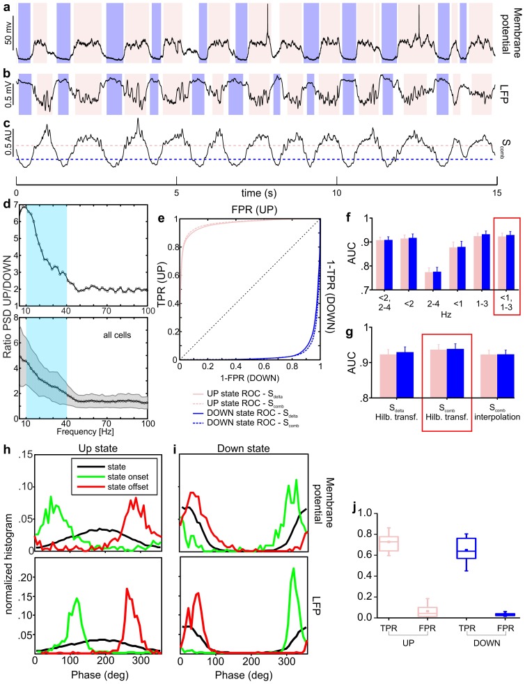 Figure 1—figure supplement 1.