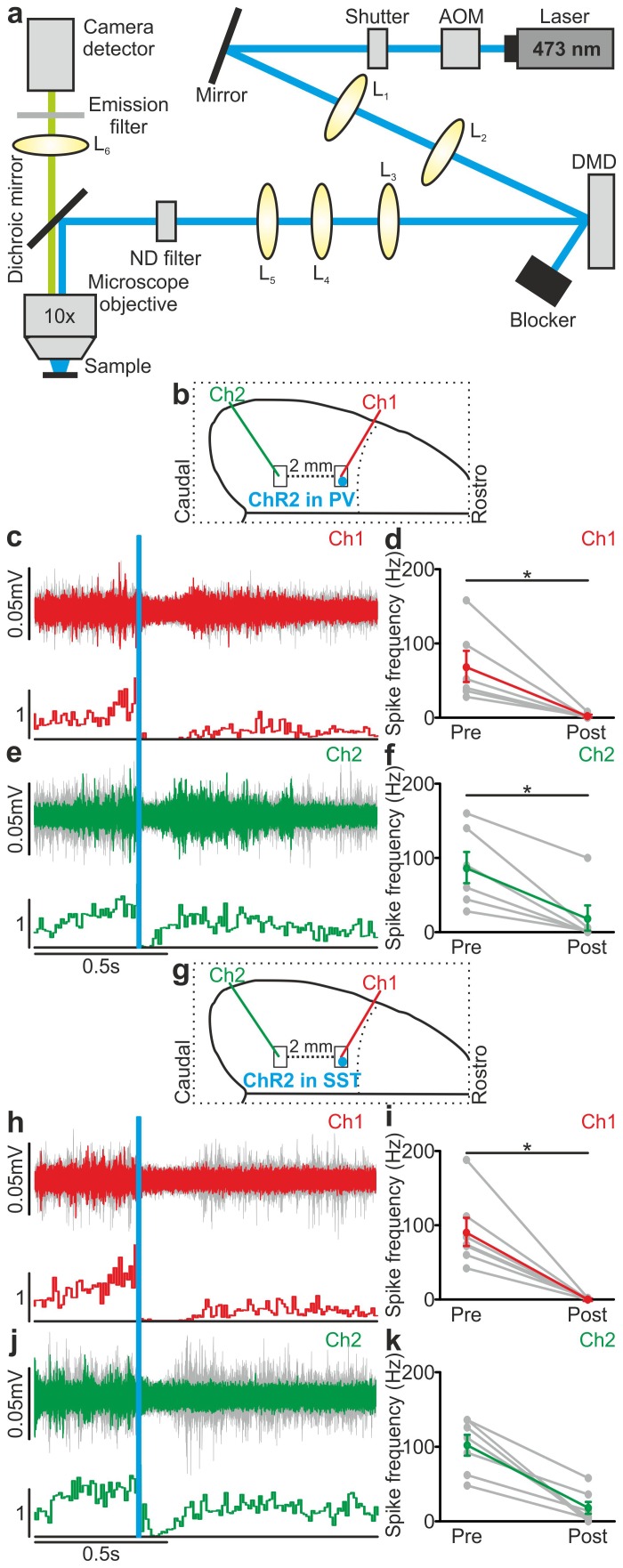 Figure 6—figure supplement 2.