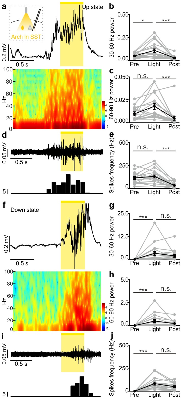 Figure 4—figure supplement 4.