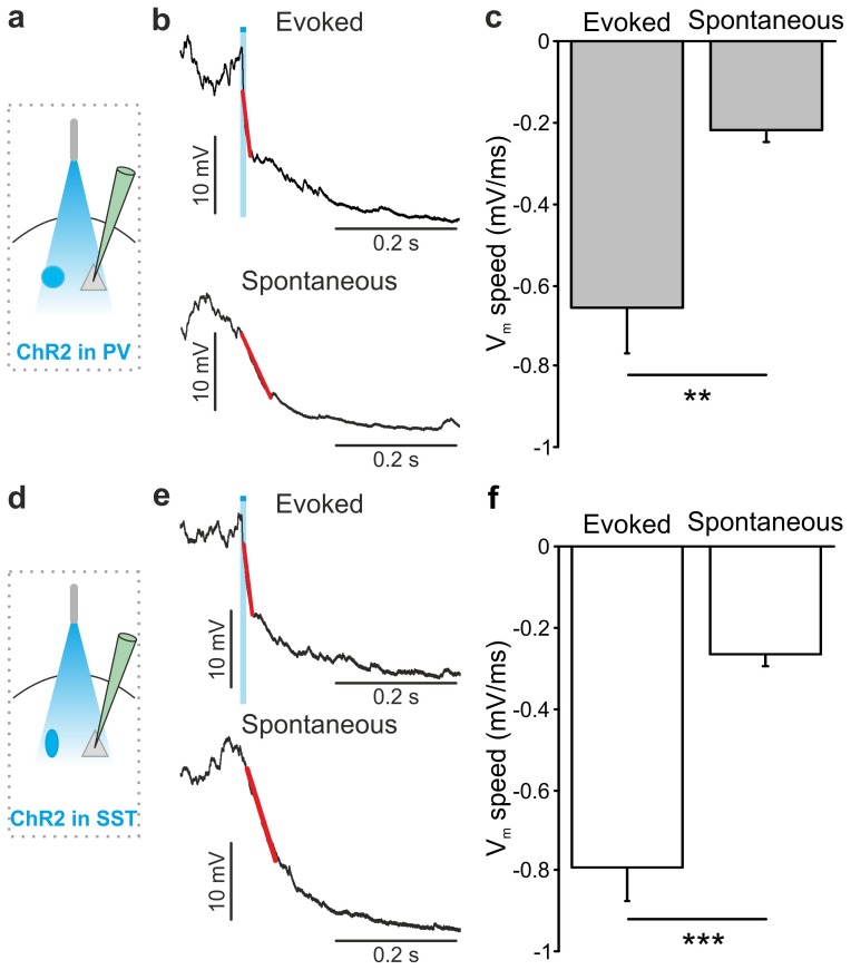 Figure 3—figure supplement 3.