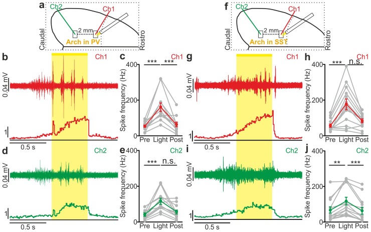 Figure 6—figure supplement 5.