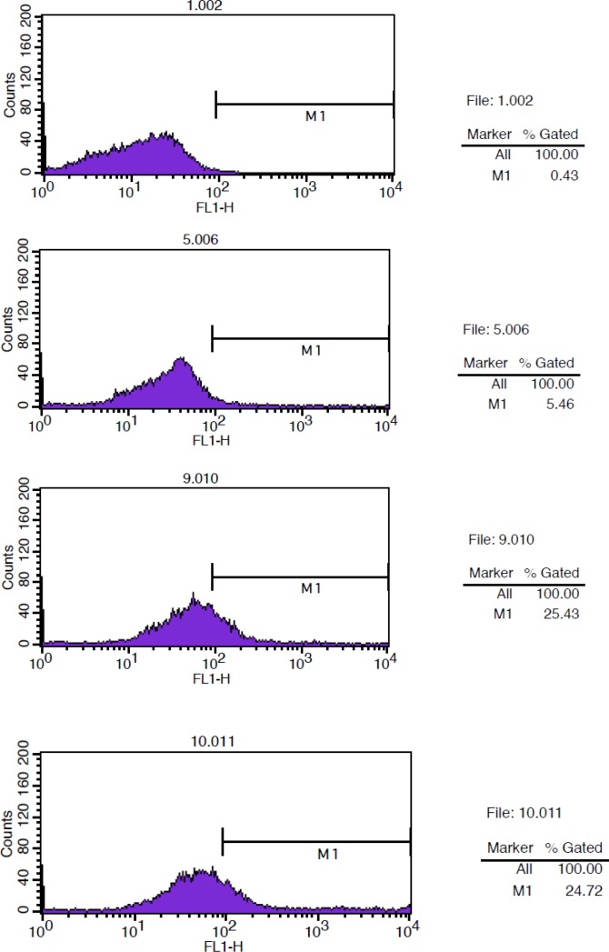 Figure 6