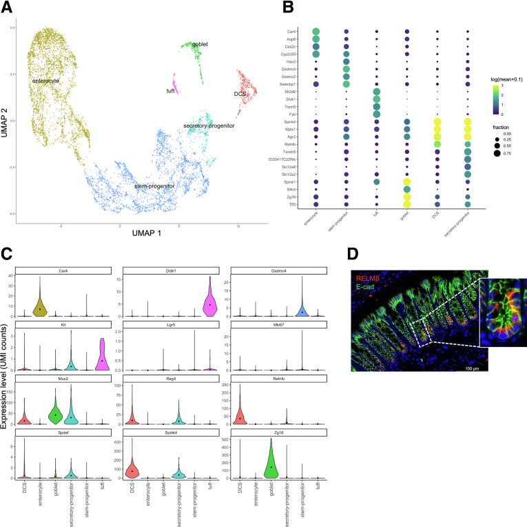 Figure 2