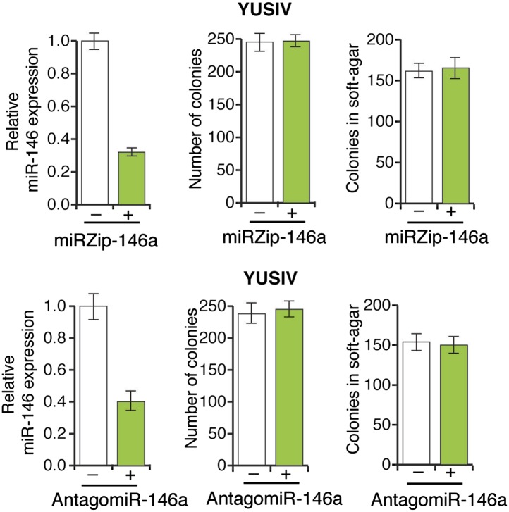 Figure 3—figure supplement 6.